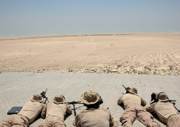 FASTCENT Designated Marksman Range