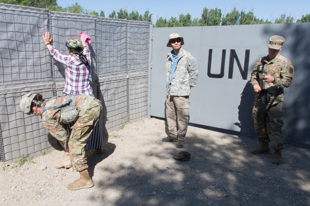 Situational Training Exercise (STX) Lanes at Steppe Eagle 19