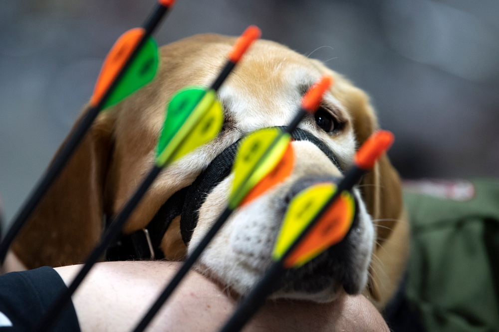 2019 DoD Warrior Games Archery Finals