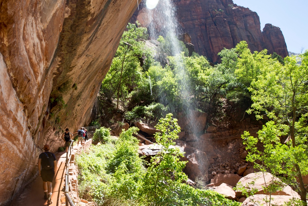 The great outdoors: SMP Zion National Park trip