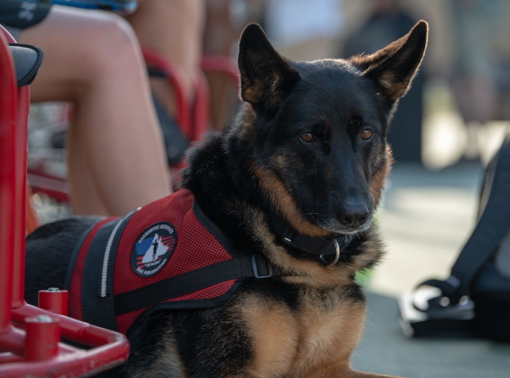 2019 DoD Warrior Games Wheelchair Tennis