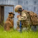 Military Working Dog Culminating Event