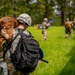 Military Working Dog Culminating Event