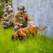 Military Working Dog Culminating Event