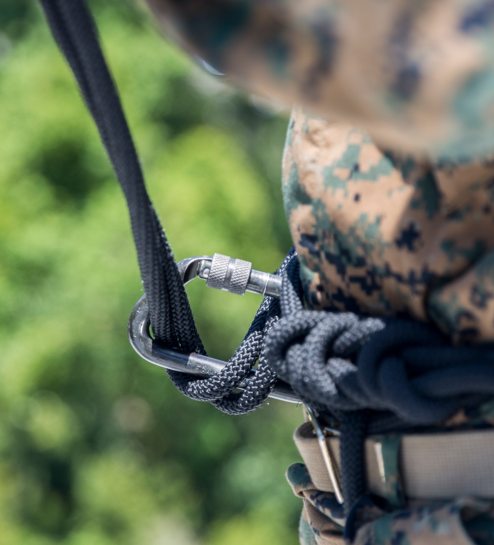 Charlie Company rappel tower training