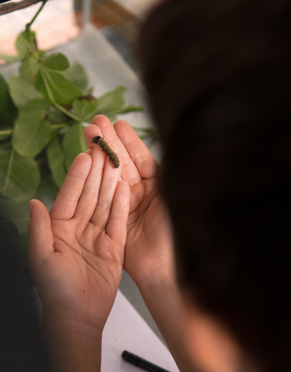 Wright-Patt holds annual Pollinator Expo