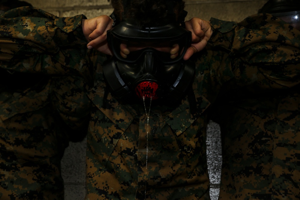 Charlie and Oscar Company gas chamber June 24, 2019