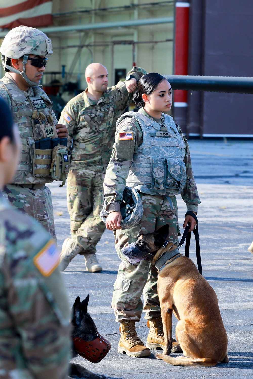 Military Working Dog Training - Lawson Air Field