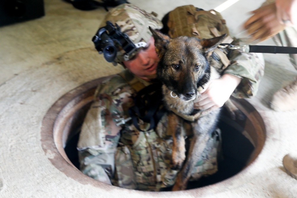 Military Working Dog Training- Selby CACTF