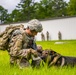 Military Working Dog Culminating Event