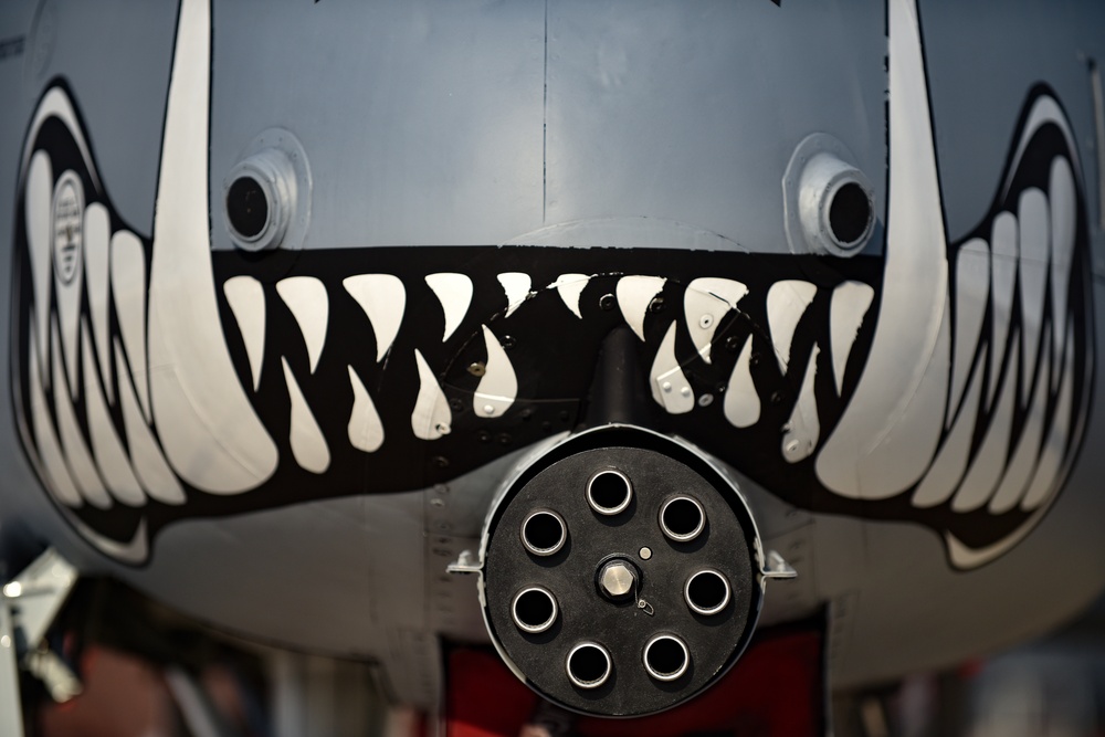 A-10 shows teeth at Wings over Whiteman 2019