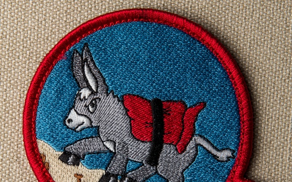 22nd Airlift Squadron Patch