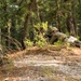 &quot;Signal Battalion Attack&quot;