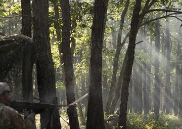 Chemical Battalion Attack