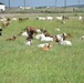 Malmstrom hosts goats for third year