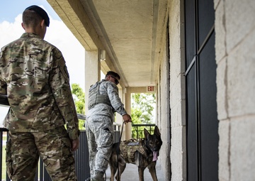 325 SFS MWD: strengthened through adversity