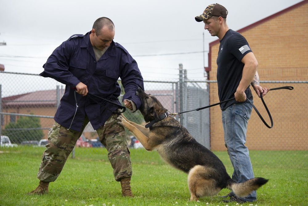 K-9 bite training