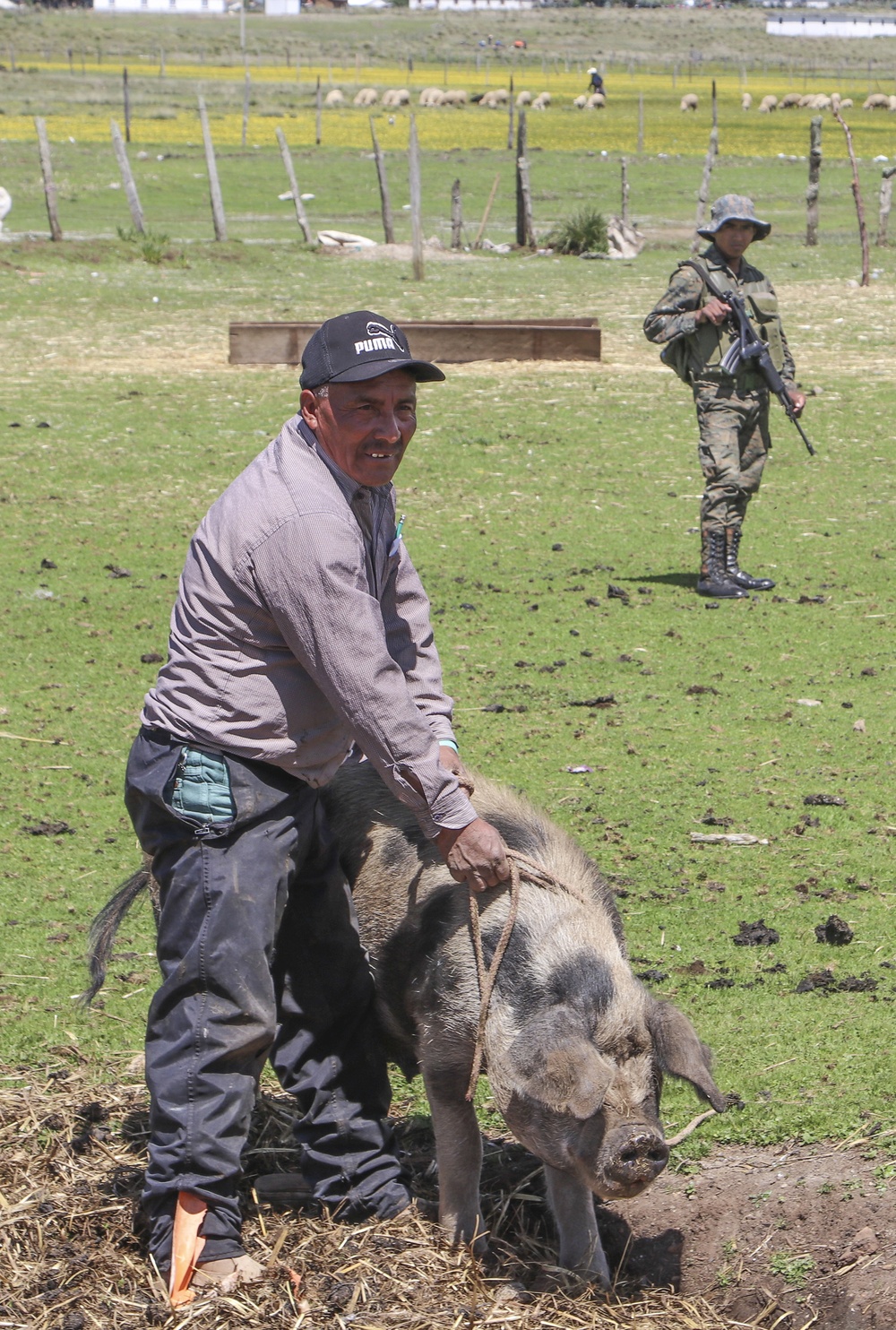 Farmer and pig