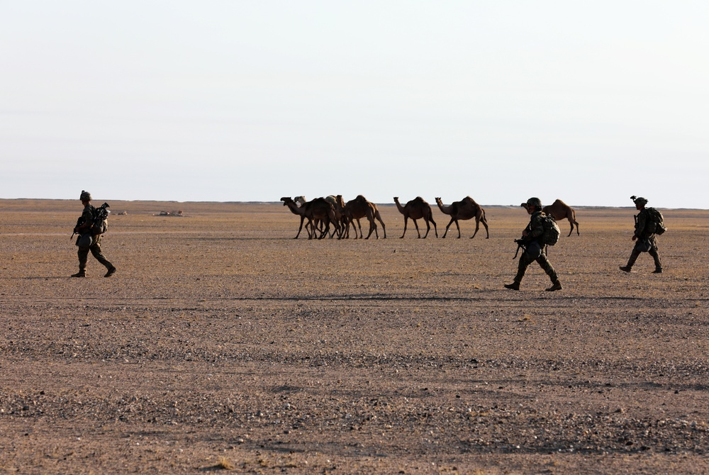 4-10 CAV Conducts Spur Ride While Deployed in Kuwait