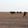 4-10 CAV Conducts Spur Ride While Deployed in Kuwait