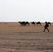 4-10 CAV Conducts Spur Ride While Deployed in Kuwait