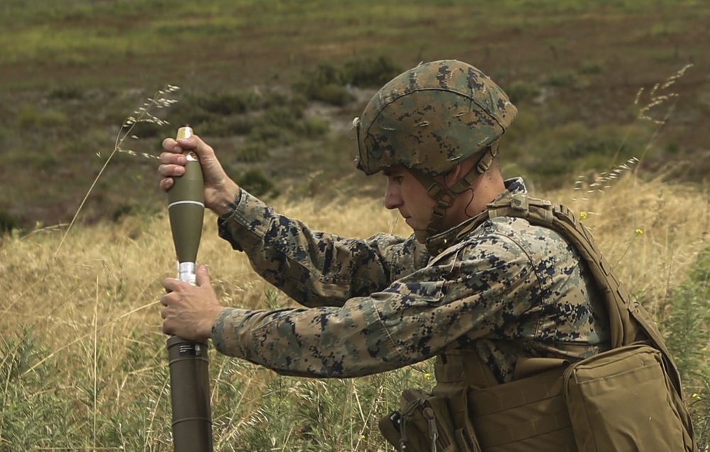 Combat Skills Training School: Basic Call for Fire Course