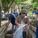 Mad Foxes Volunteer at Peace Memorial Park