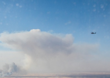Coalition Forces: In The Air