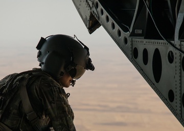 Coalition Forces: In The Air