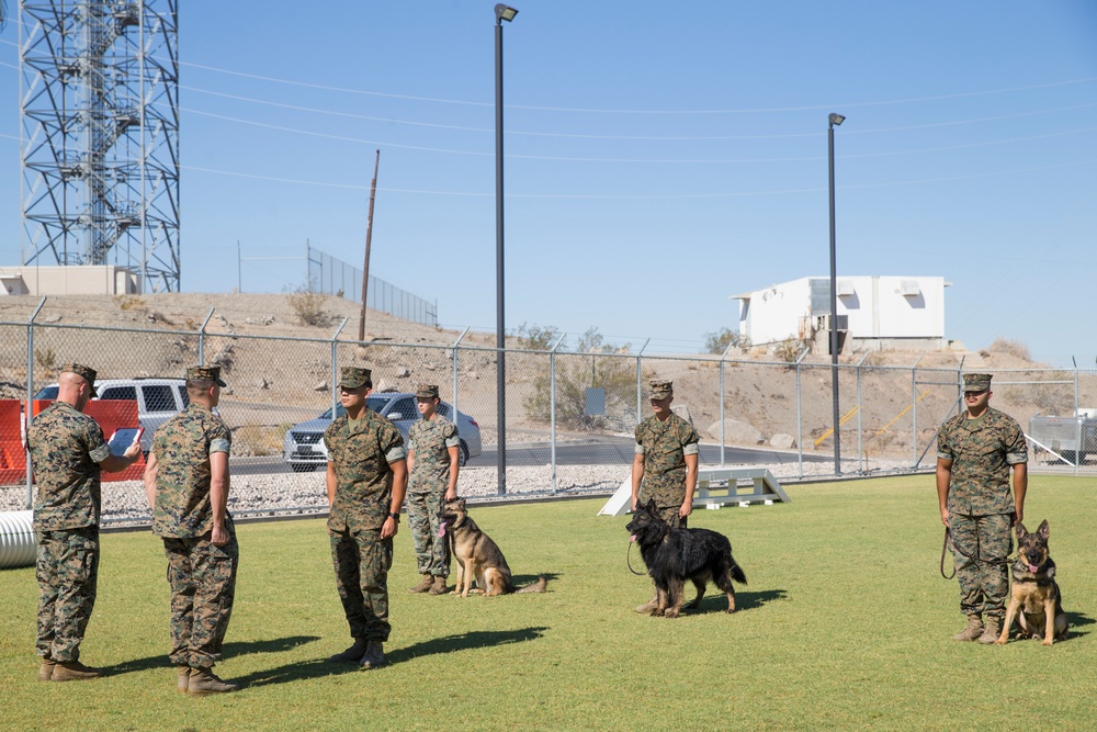 Cpl. Amaya Promotion Ceremony