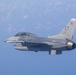 Fighting Falcon Flies over Florida