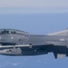 Fighting Falcon Flies over Florida