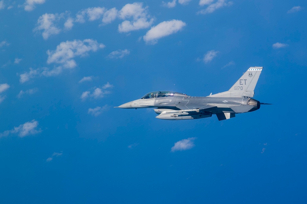 Fighting Falcon Flies over Florida