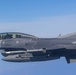 Fighting Falcon Flies over Florida