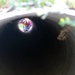 Army Corps conducts stormwater surveys in Hagerstown, Maryland