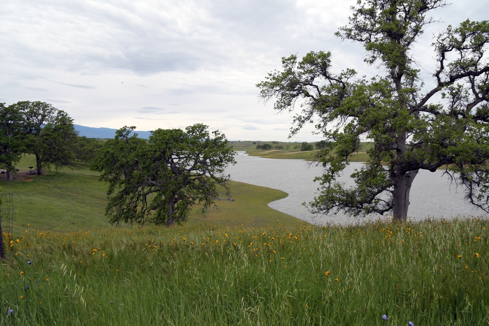 Black Butte Lake Scenery