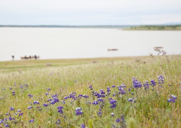 Black Butte Lake Scenery