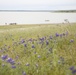 Black Butte Lake Scenery