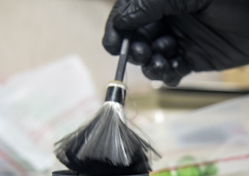 SFS investigators conduct CSI training