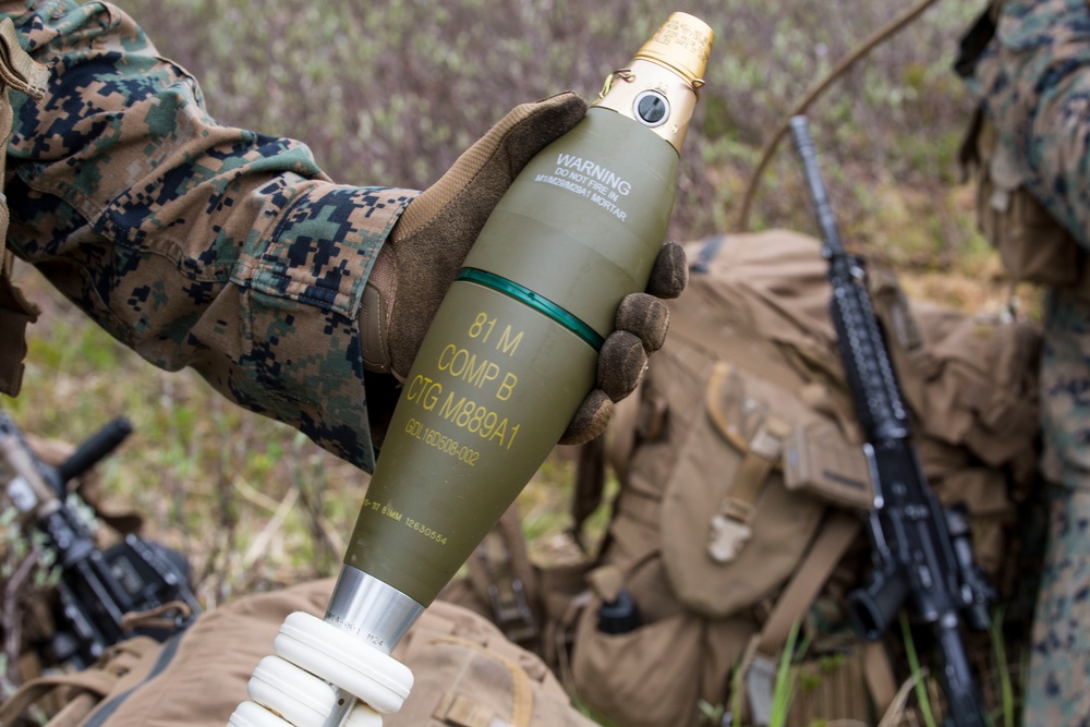 MRF-E 19.2: Weapons company field exercise