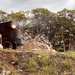 Avenger’s historic inclusion in West Point CALFEX