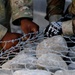 Task Force Rise Soldiers Construct a Rock Barrier in Guatemala