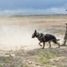 Idaho and Oregon Security Forces Train in the Idaho Desert