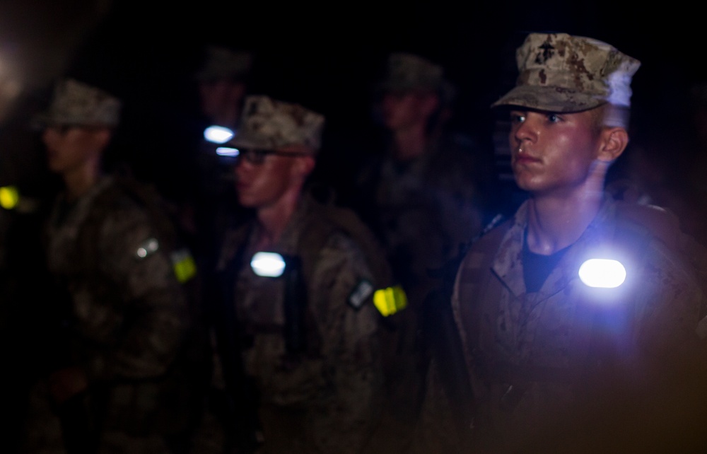 Fox Company Grass Week