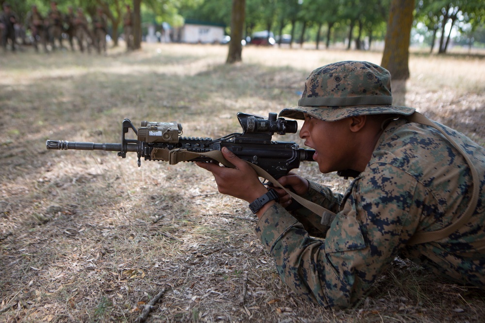 Sea Breeze 19: Infantry Skills