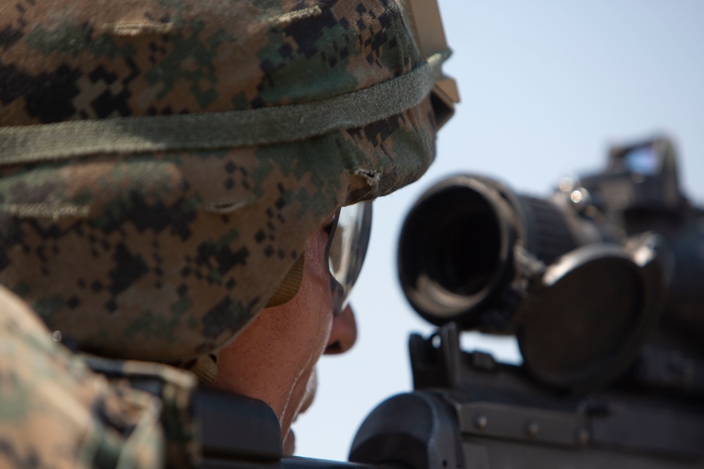 Sea Breeze 19: Infantry Skills
