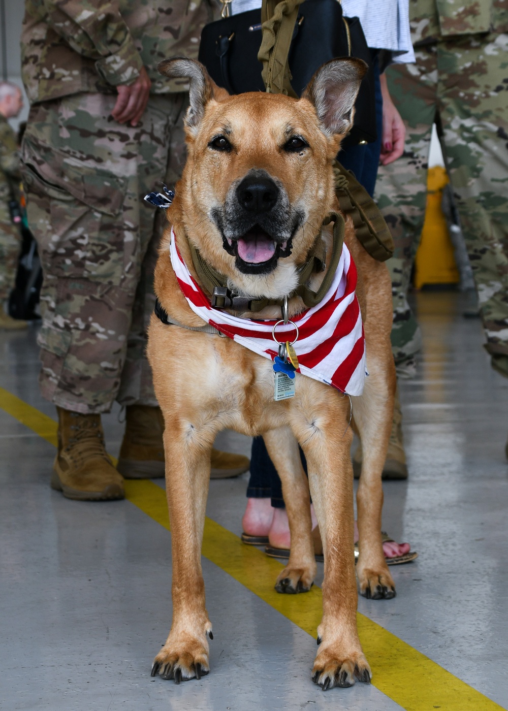 Deployed 143d Airlift Wing Airmen Return in Time for Independence Day Weekend