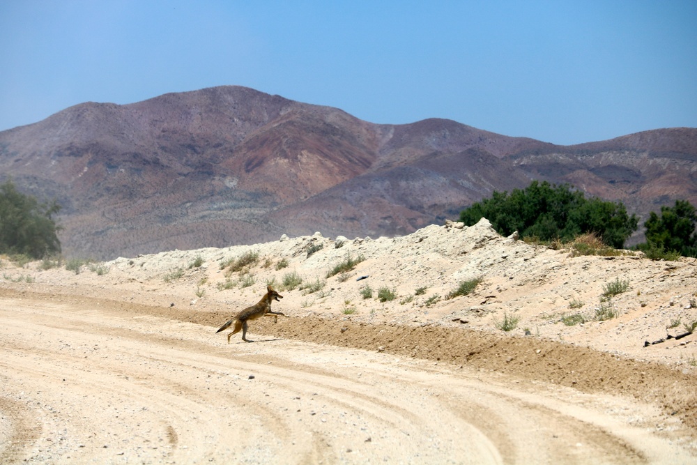 "Old Hickory" 30th ABCT at NTC Rotation 19-09