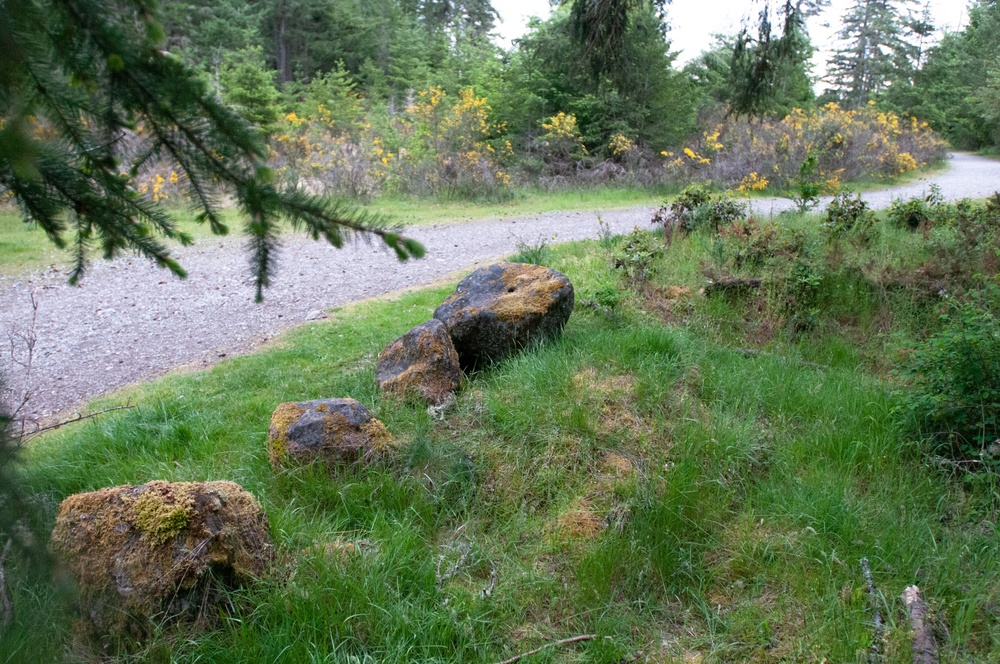 The Buffalo Soldiers' bivouac area off Sequalitchew Creek Trail