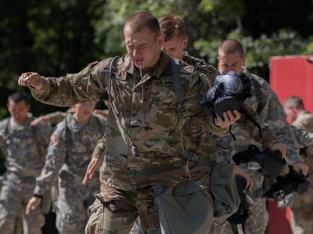 1st Regiment Basic Camp